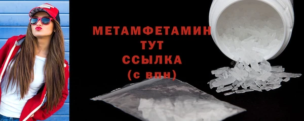 индика Ельня