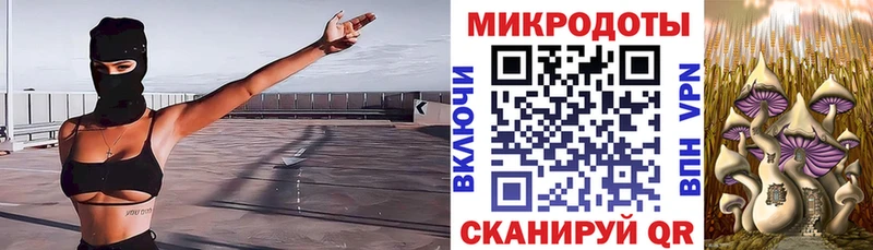 ссылка на мегу маркетплейс  Николаевск-на-Амуре  Псилоцибиновые грибы Magic Shrooms  наркота 